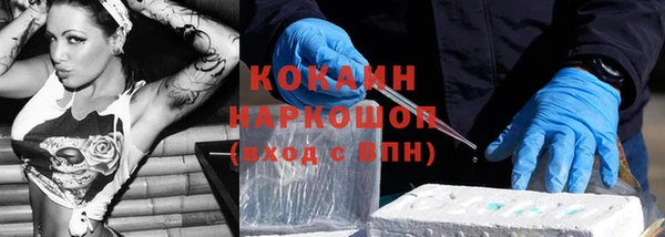 гашик Бородино