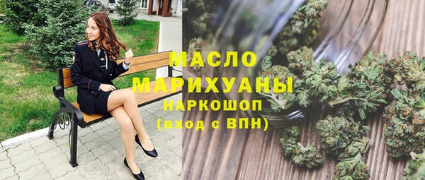 гашик Бородино