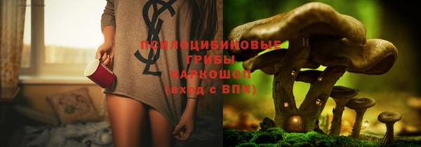 гашик Бородино