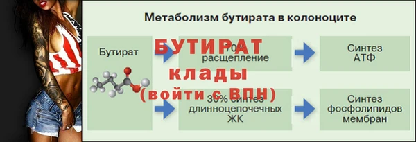 гашик Бородино