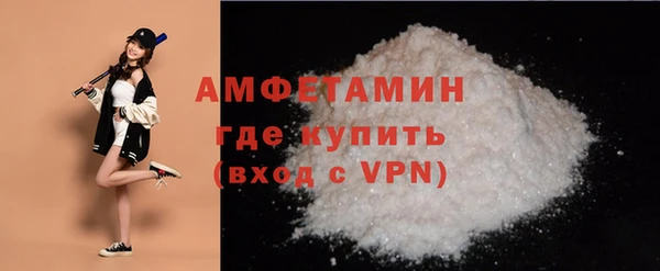 гашик Бородино