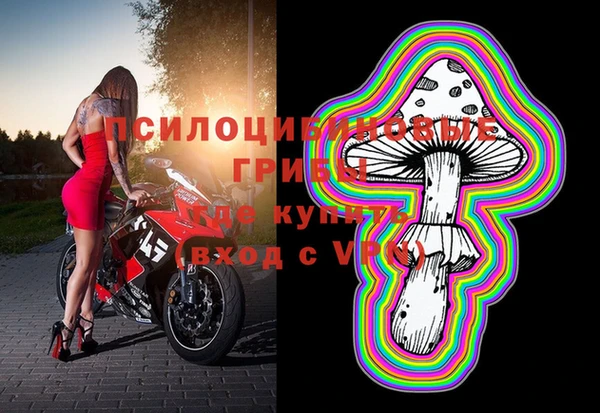 гашик Бородино