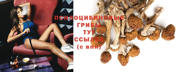 гашик Бородино